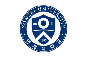 Ёнсе Университет (Yonsei University)